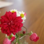 シンプルなくらし 「菜箸」は持っていません