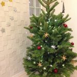 もみの木のクリスマスツリーとドライの枝でクリスマス飾り