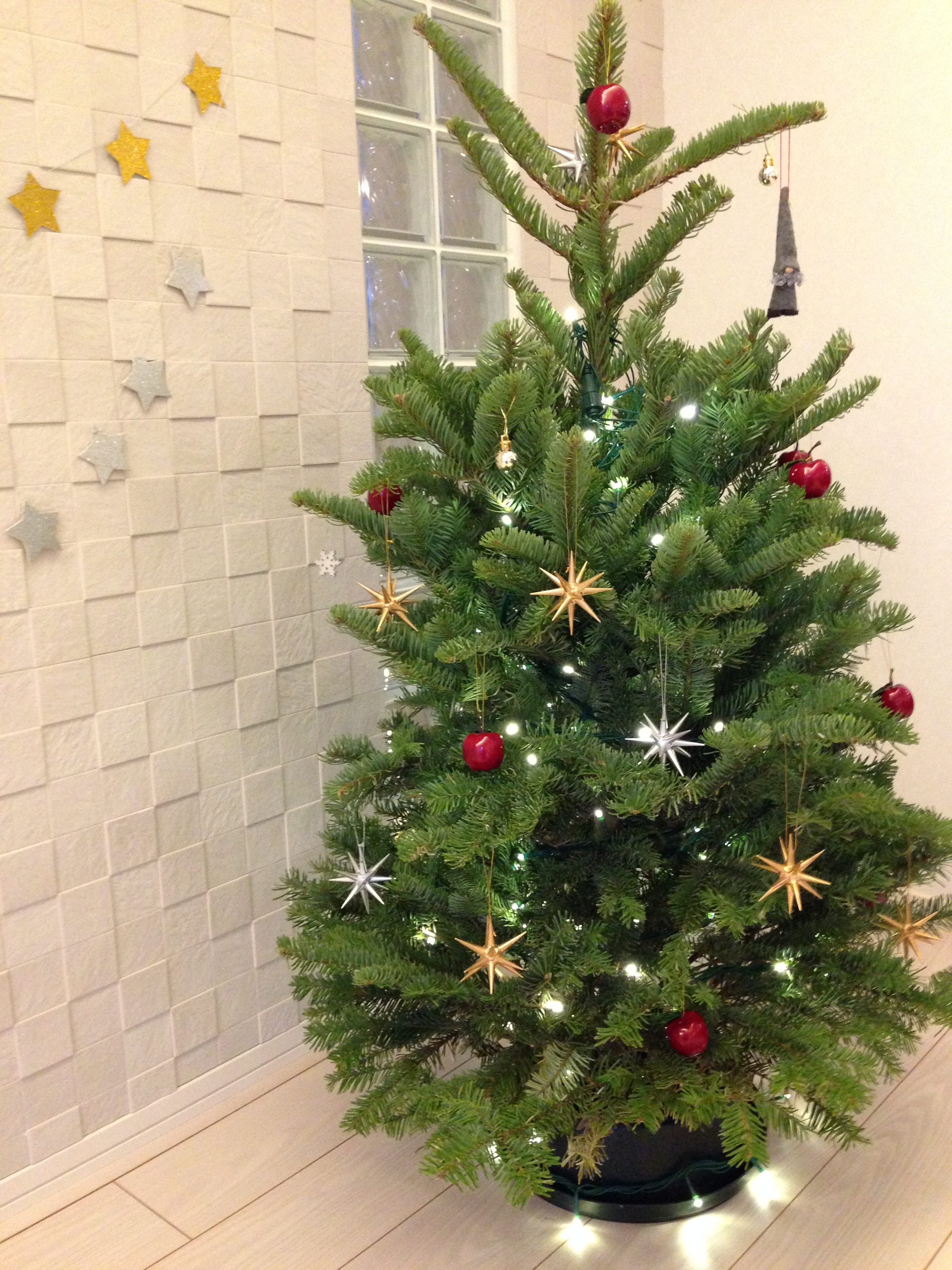 もみの木のクリスマスツリーとドライの枝でクリスマス飾り くらしのきろく